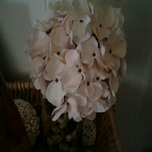 Meet your Posher, Yareli